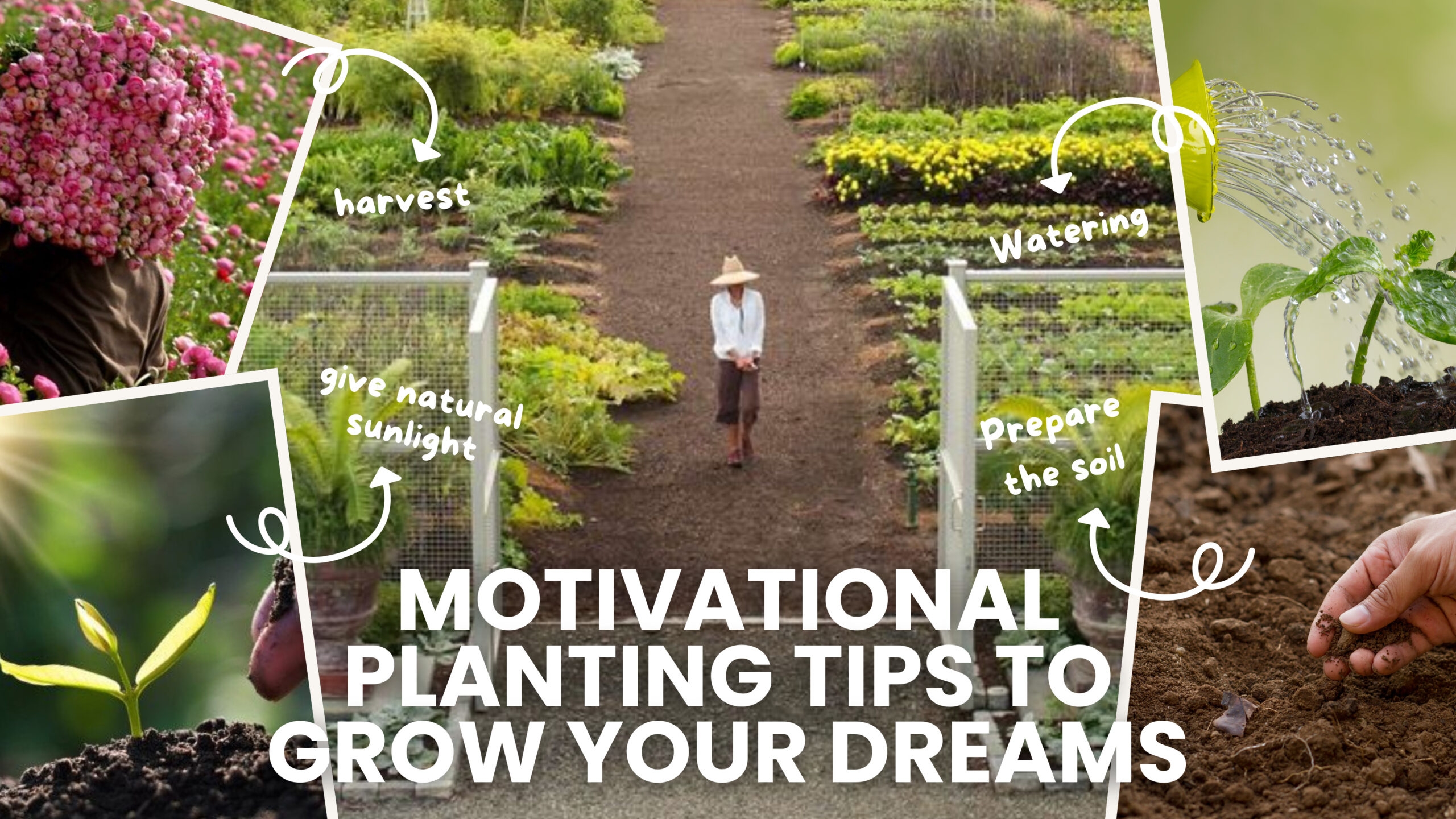 Motivational Planting Tips to Grow Your Dreams